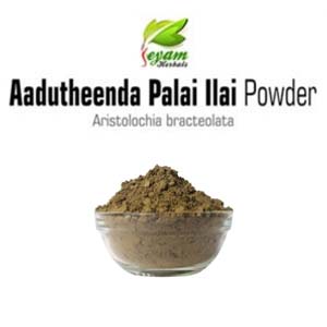 Aadutheendaa Paalai illai Powder | Indian Birthwort | Ishwar mul