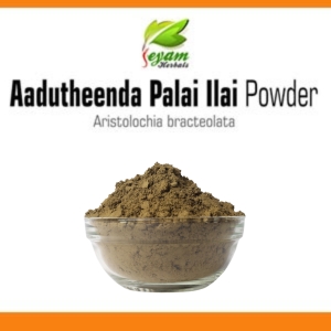 Aadutheendaa Paalai illai Powder | Indian Birthwort | Ishwar mul