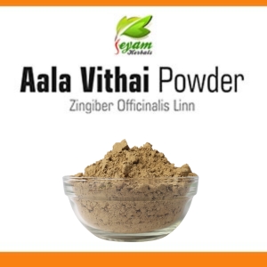 Aala Vithai Powder |Slender Dwarf | Banyan Tree Seed |aalam vitta