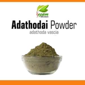 Aadathodai Powder | Aadatoda vasica | Adusa | Vasaka | Adalodakam