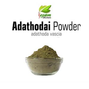 Aadathodai Powder | Aadatoda vasica | Adusa | Vasaka | Adalodakam
