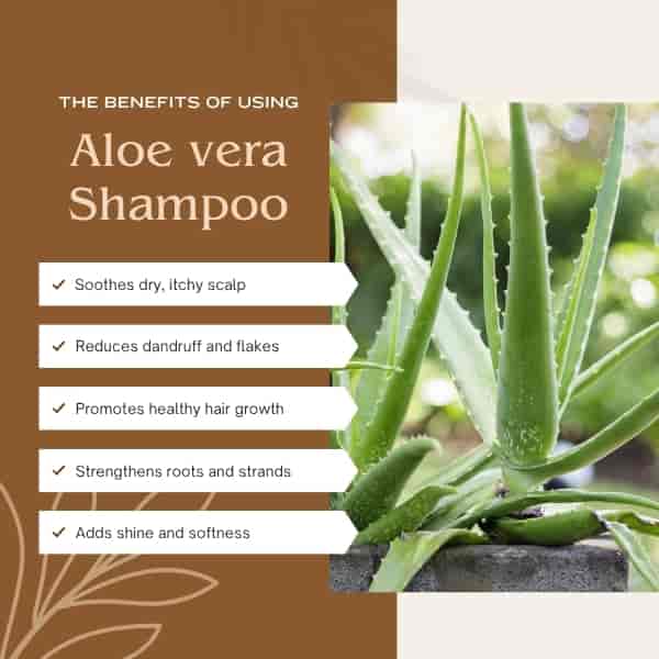 herbal essences shampoo aloe + bambus Bio-Hydrate Bamboo + Aloe Vera Shampoo – bioluxe main image 1