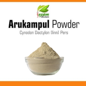 Arukampul Powder | Bermuda Grass | Karuka Grass | Garika Gaddi