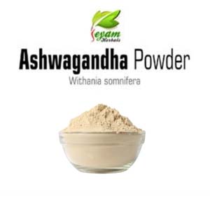 Ashwagandha Powder | Indian Ginseng | Amukkura | Penneru