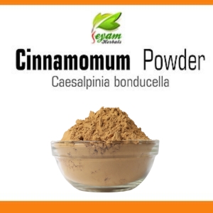 Cinnamon Powder | Cinnamomum verum | ilavangapattai podi