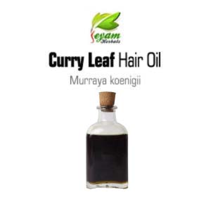 Curry Leaves Hair Oil | Murraya Koenigii | Karuveppillai Hair Oil