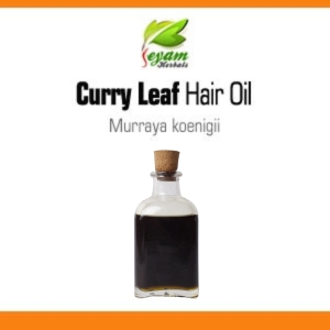 Curry Leaves Hair Oil | Murraya Koenigii | Karuveppillai Hair Oil