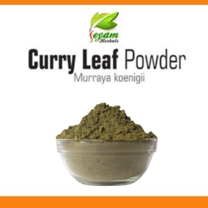 Curry leaf powder | Murraya Koenigii | Karuveppilai leaves powder