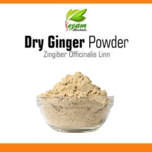 Dry Ginger Powder | Chukku | Inji | Adrak | Enchi | Allamu chettu