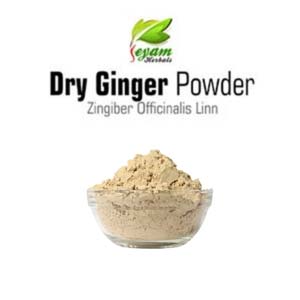 Dry Ginger Powder | Chukku | Inji | Adrak | Enchi | Allamu chettu