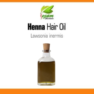 Maruthani oil | Henna Hair Oil | Lawsonia inermis | Henna Ennai