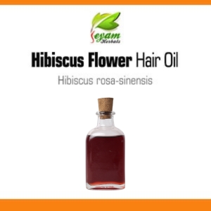 Hibiscus flower Hair Oil | semparuthi flower oil | Javapushpamu