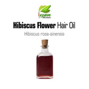 Hibiscus flower Hair Oil | semparuthi flower oil | Javapushpamu