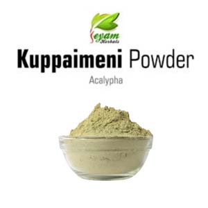 Kuppaimeni Powder | Indian nettle Dried Leaves | Khokli