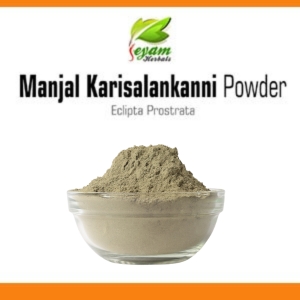 Manjal Karisalankanni Powder | False Daicy | Kaikeshi | Galagara