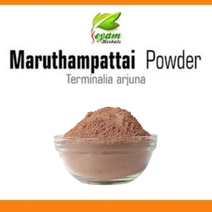 Maruthampattai powder | Terminalia Arjuna | Thella Maddi