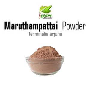 Maruthampattai powder | Terminalia Arjuna | Thella Maddi