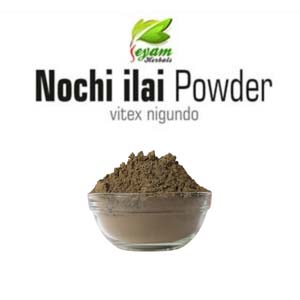 Nochi leaf powder | Vitex Negundo | Sawbhalu | Nochi illai