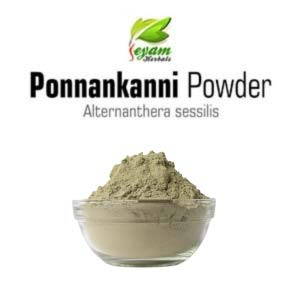 Ponnankanni Powder | Dwarf Copper Leaf |  Ponnaganti Koora