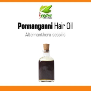 Ponnanganni Hair Oil | Dwarf Copper Leaf oil | Brazilian Spinach