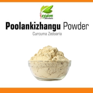 Poolankizhangu Powder | Hedychium Spicatum | Katcholam |Kachuralu