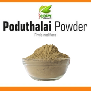 Poduthalai powder | Phyla Nodiflora| Turkey Tangle |Kattuttippali