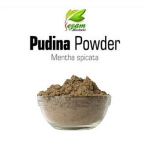 Pudina Powder