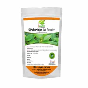 Sirukurinjan Ilai Powder