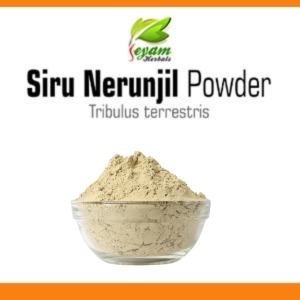 Siru Nerinjil powder | Puncture Vine | Burragokhur | Chirupalleru