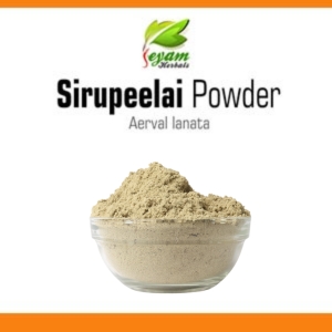 Siru Peelai powder | Aerva Lanata | chhaaya | Cerula | Pindidonda