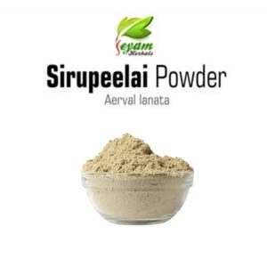 Siru Peelai powder | Aerva Lanata | chhaaya | Cerula | Pindidonda