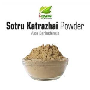 Sotru Katralai powder | Indian Aloe | Kattarvazha | Kalabanada