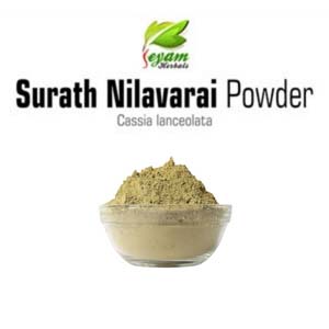 Surath Nilavarai Powder | Avuri illai powder | Cassia lanceolata