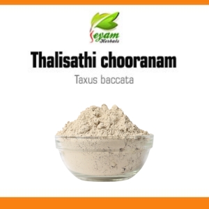 Thalisathi Sooranam | Taxus baccata | Sore throat | Cough & Cold