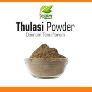 Thulasi powder | Ocimum tenuiflorum | Sacred Basil | Tulsi