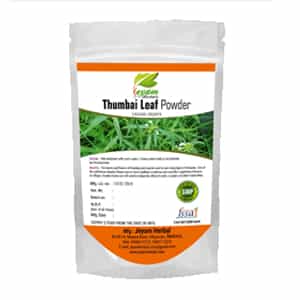Thumbai Ilai Powder