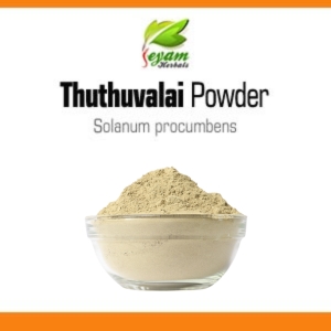 Thuthuvalai Powder | Kantakaari-latta | Tutavalam | Mullamustil