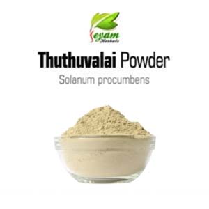 Thuthuvalai Powder | Kantakaari-latta | Tutavalam | Mullamustil