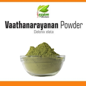 Vaathanarayanan powder |  White gulmohar | Sandeshra