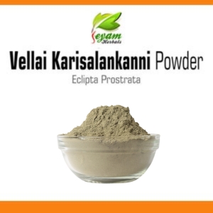 Vellai Karisalankanni Powder |Mochkand |Kannuni |Galagara Chettu