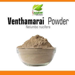 Venthamarai powder | Nelumbo nucifera |Sacred Lotus |Tamara Puvvu