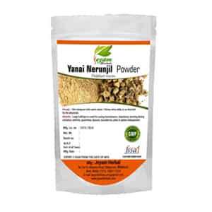 Yanai Nerunjil Powder